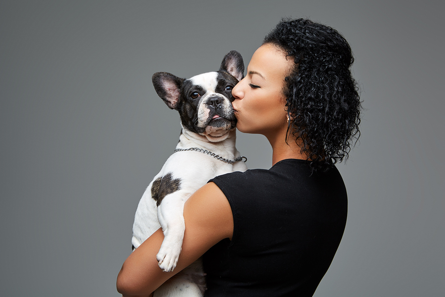 A Guide to French Bulldog Care: Tips for Owning a Happy and Healthy Pup