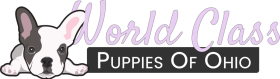 Image_20250424_040057_697-1-1024x292-1